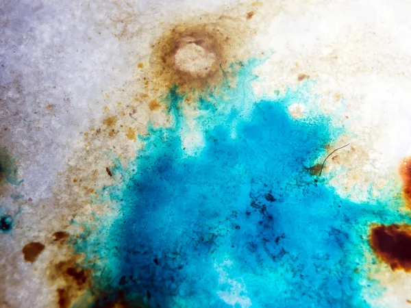 boya ile kimyasal deney