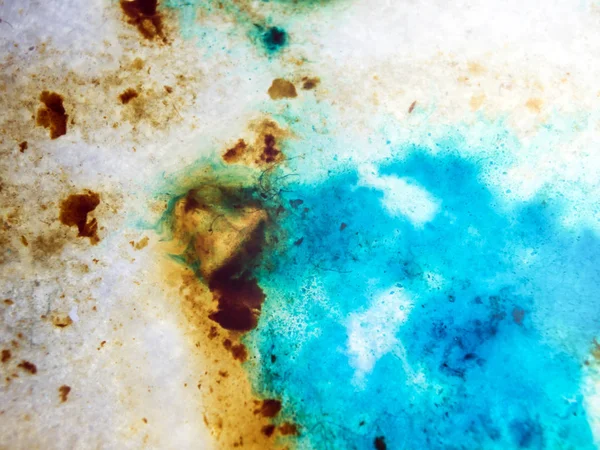 boya ile kimyasal deney