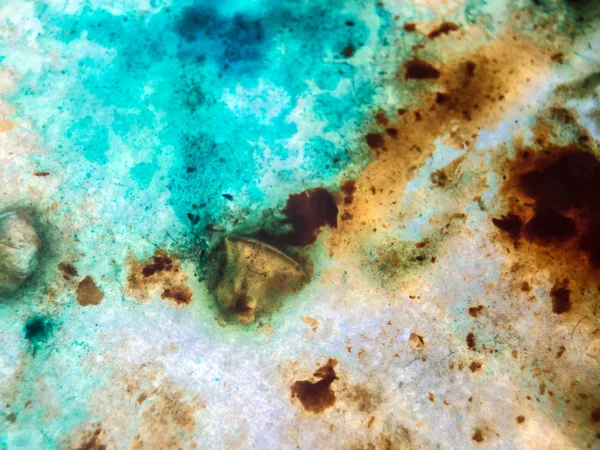 boya ile kimyasal deney