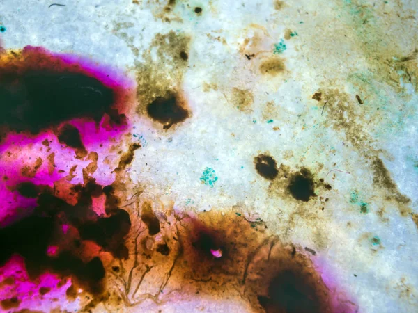 boya ile kimyasal deney