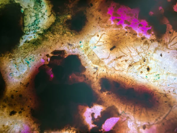 boya ile kimyasal deney