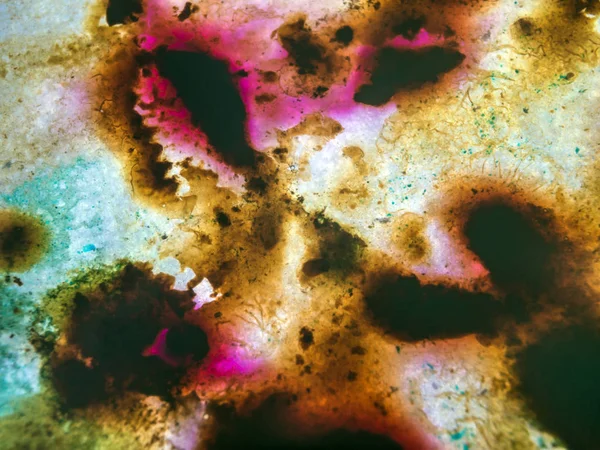 boya ile kimyasal deney