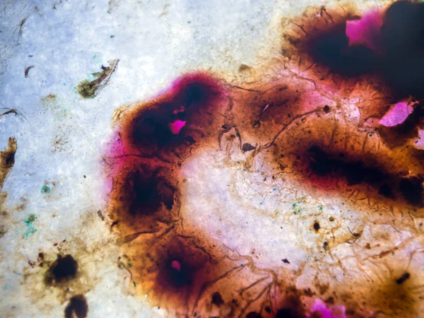 boya ile kimyasal deney