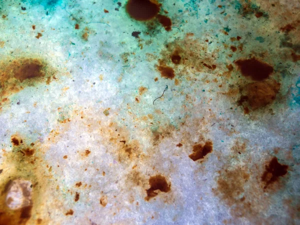 boya ile kimyasal deney