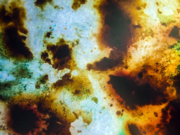 boya ile kimyasal deney