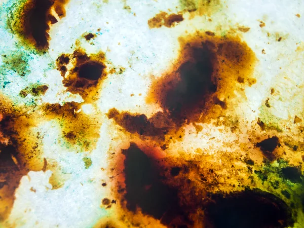 boya ile kimyasal deney