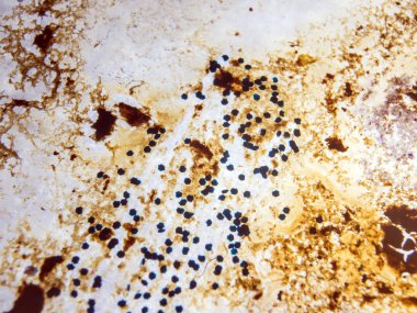 boya ile kimyasal deney