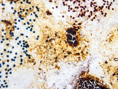 boya ile kimyasal deney