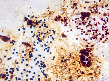 boya ile kimyasal deney