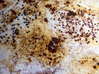 boya ile kimyasal deney