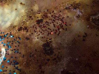 boya ile kimyasal deney