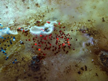 boya ile kimyasal deney