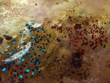 boya ile kimyasal deney