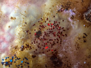 boya ile kimyasal deney