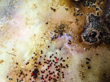 boya ile kimyasal deney