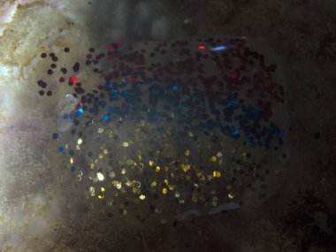 boya ile kimyasal deney