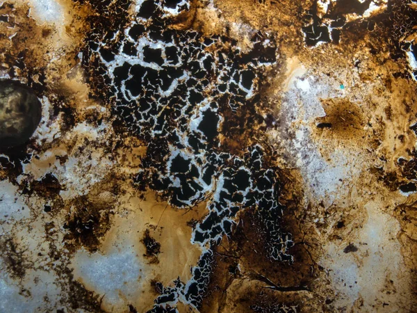 boya ile kimyasal deney