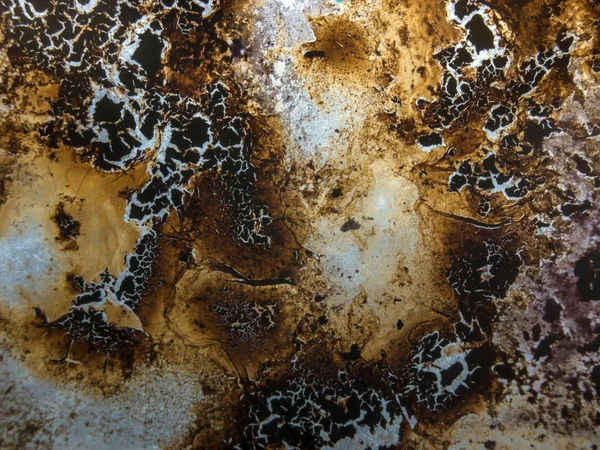 boya ile kimyasal deney