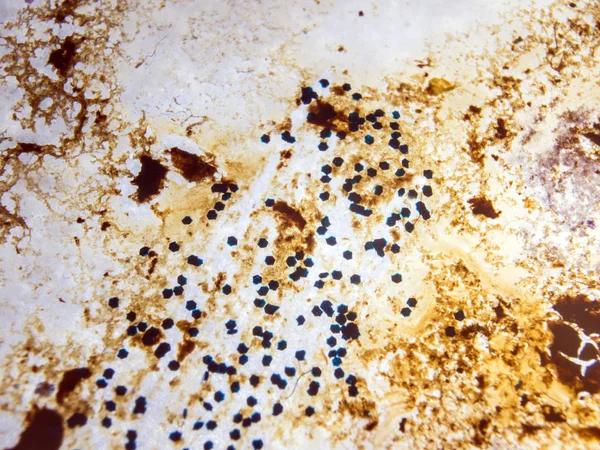 boya ile kimyasal deney