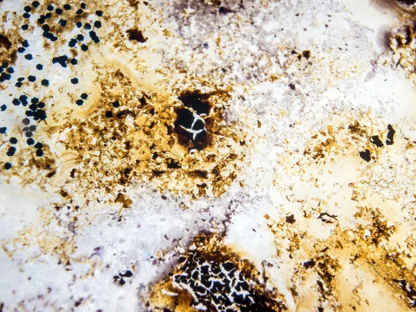 boya ile kimyasal deney