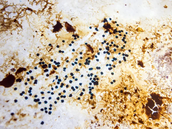 boya ile kimyasal deney