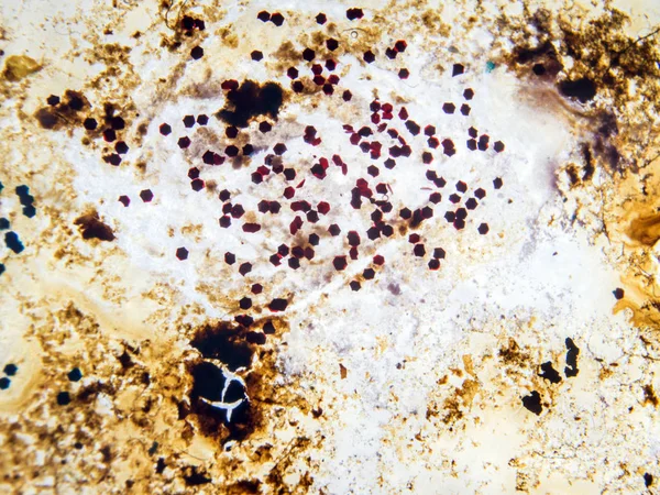 boya ile kimyasal deney