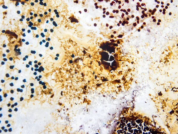 boya ile kimyasal deney