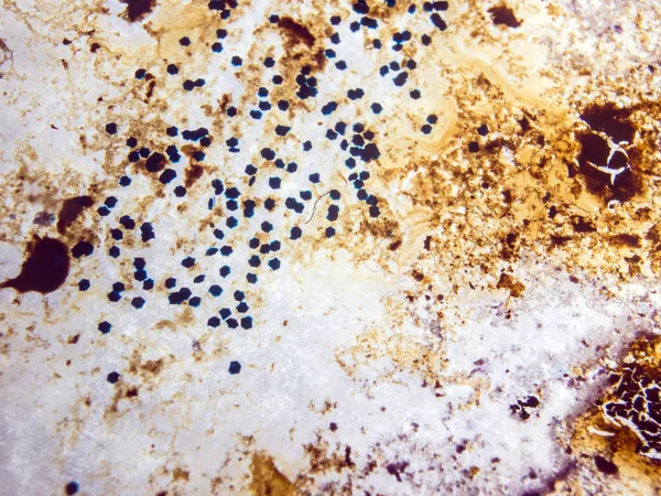 boya ile kimyasal deney