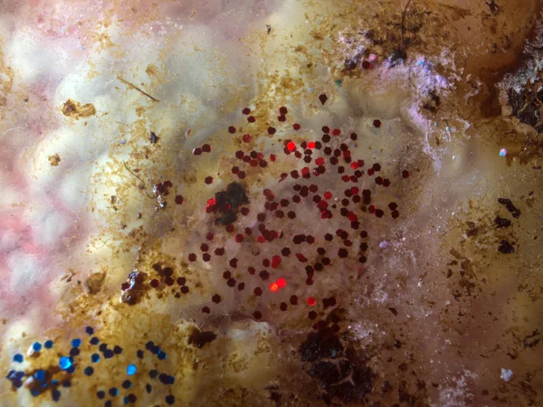 boya ile kimyasal deney