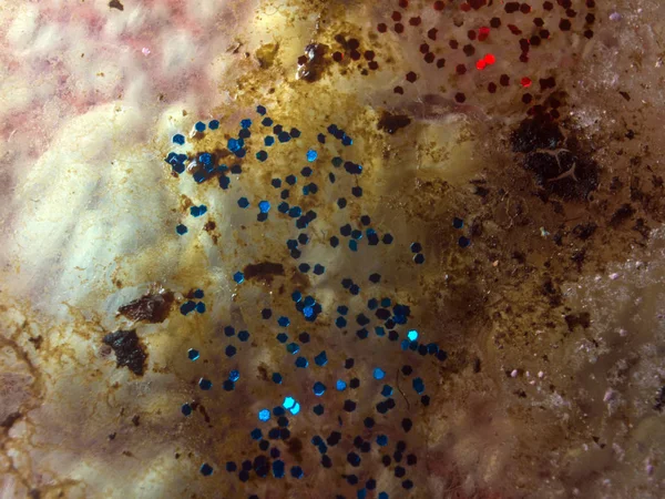 boya ile kimyasal deney