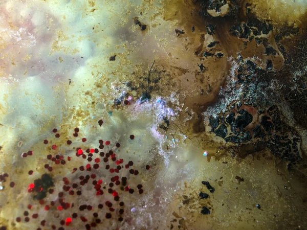 boya ile kimyasal deney