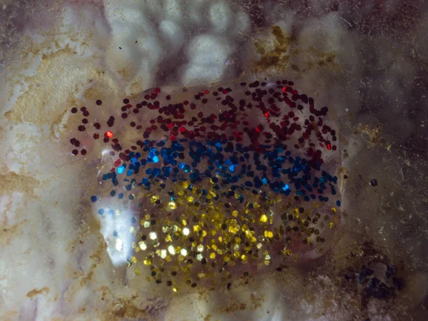 boya ile kimyasal deney