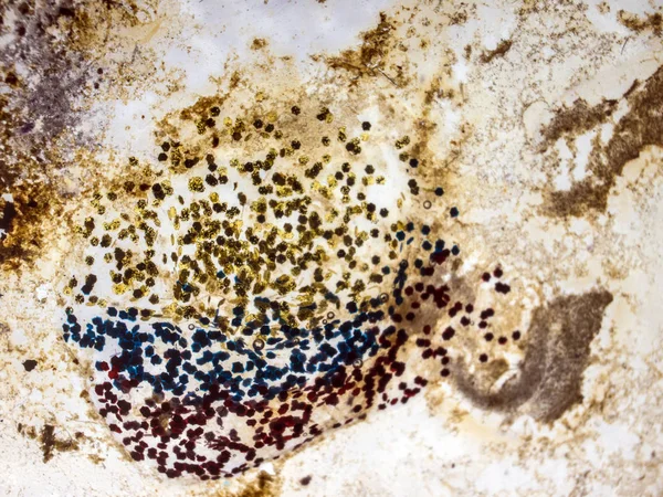 boya ile kimyasal deney