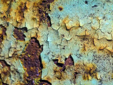 pürüzlü yüzeyi çok renkli boya