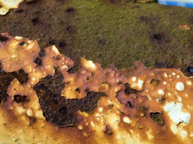 pürüzlü yüzeyi çok renkli boya