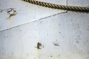 pürüzlü yüzeyi çok renkli boya