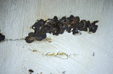 pürüzlü yüzeyi çok renkli boya