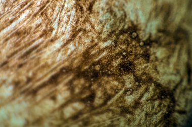 pürüzlü yüzeyi çok renkli boya