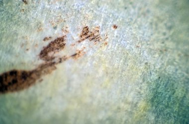 pürüzlü yüzeyi çok renkli boya