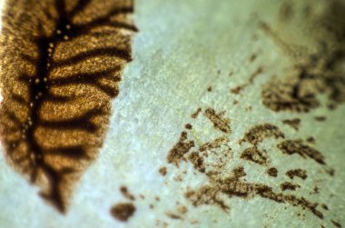 pürüzlü yüzeyi çok renkli boya