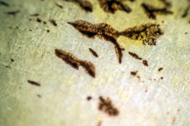 pürüzlü yüzeyi çok renkli boya