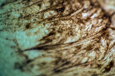 pürüzlü yüzeyi çok renkli boya