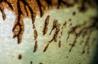 pürüzlü yüzeyi çok renkli boya