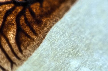 pürüzlü yüzeyi çok renkli boya