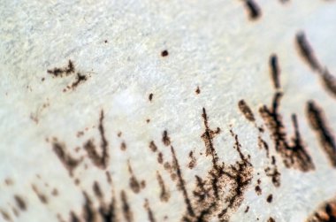 pürüzlü yüzeyi çok renkli boya