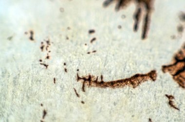 pürüzlü yüzeyi çok renkli boya