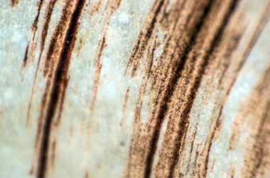 pürüzlü yüzeyi çok renkli boya