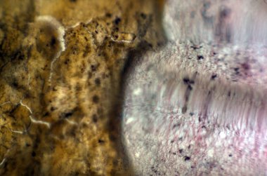 pürüzlü yüzeyi çok renkli boya