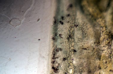 pürüzlü yüzeyi çok renkli boya