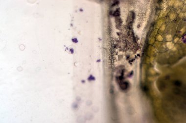 pürüzlü yüzeyi çok renkli boya